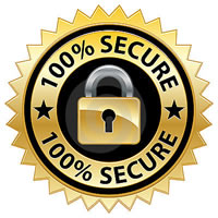 100-secure-website-seal-thumb18731629